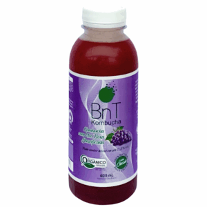 Kombucha Uva Roxa