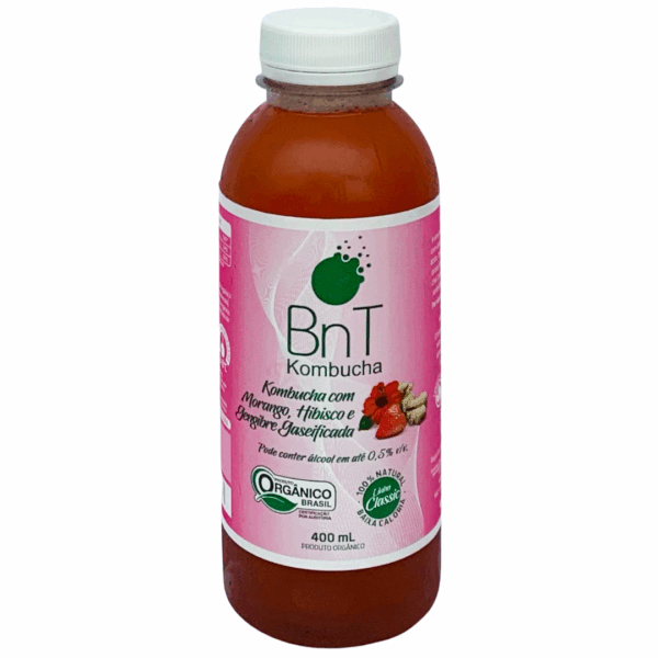 Kombucha Morango com Hibisco e Gengibre