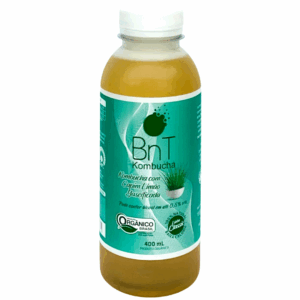 Kombucha Capim Limão