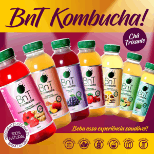 Kit com 6 Kombuchas