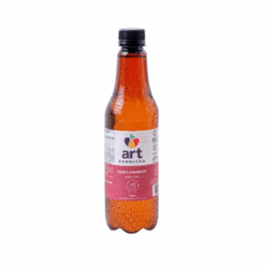 Kombucha Maça e Cranberry – 500 ml